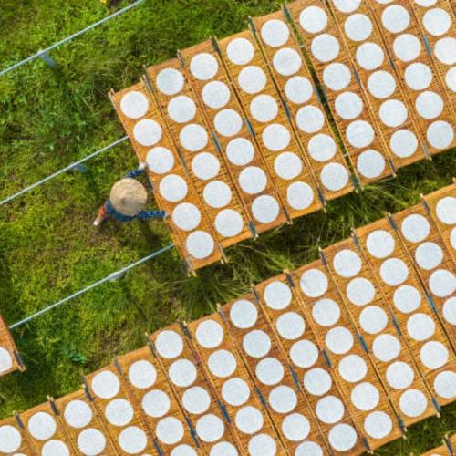 Bánh Tráng Trảng Bàng Nét Đẹp Truyền Thống Của Người Dân Nam Bộ